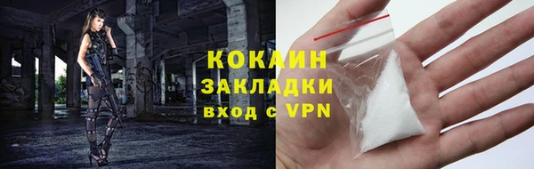 кокс Арсеньев