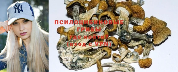 гашик Алексеевка