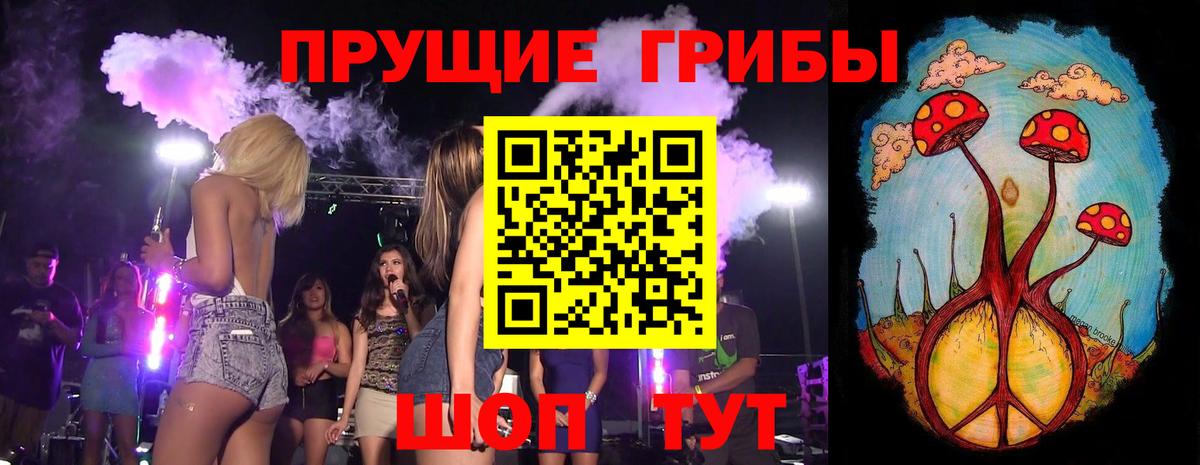 Псилоцибиновые грибы мицелий Полевской